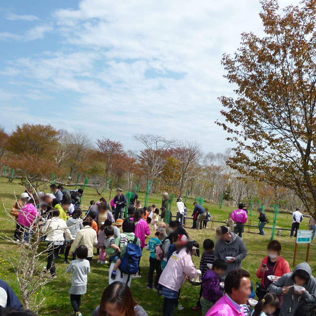 Pic:Cherry Blossom Festival